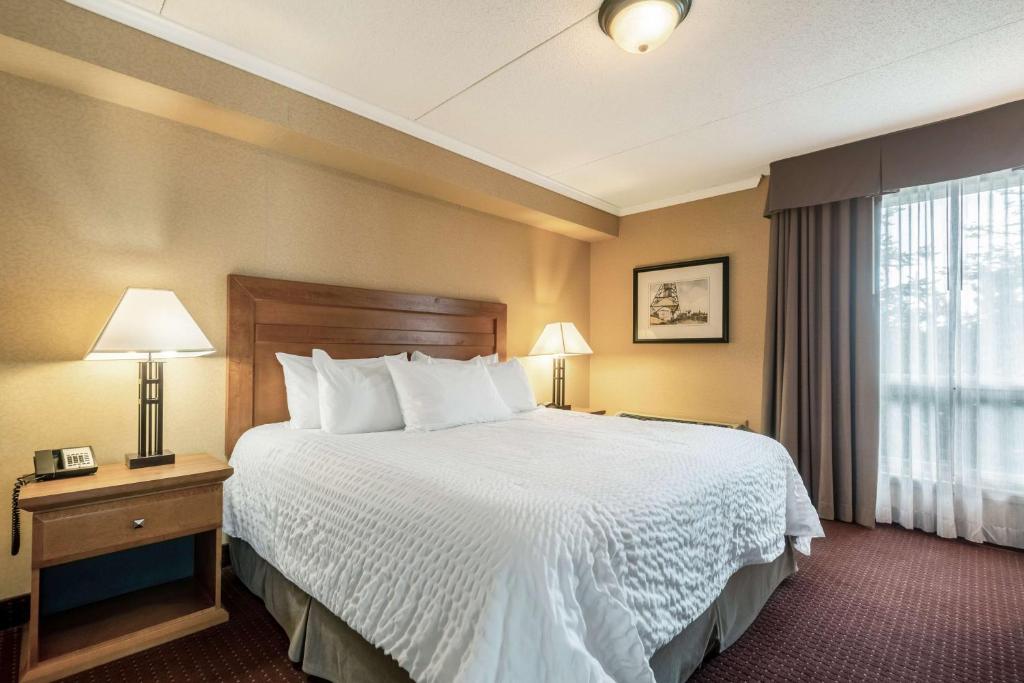 une chambre d'hôtel avec un lit et une fenêtre dans l'établissement Best Western Plus NorWester Hotel & Conference Centre, à Thunder Bay