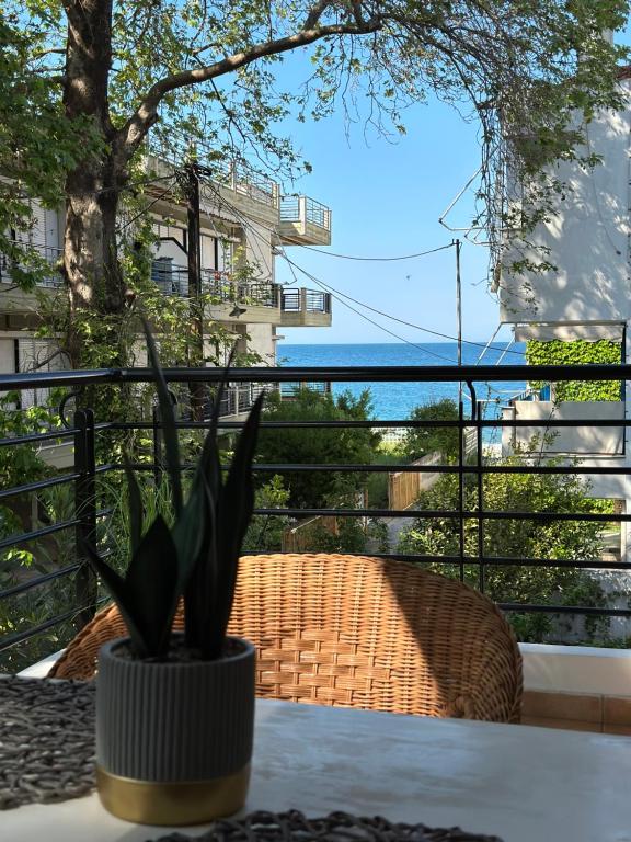 Příroda nedaleko apartmánu