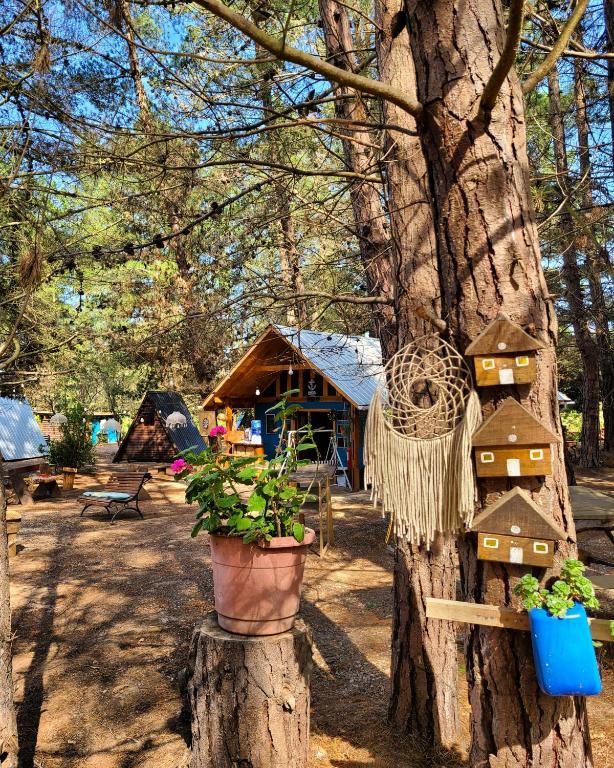 Zahrada ubytování Cabañitas del Bosque