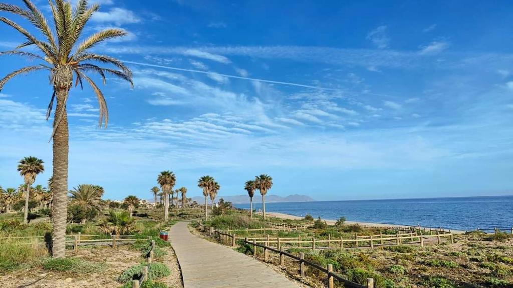 un chemin avec des palmiers sur la plage dans l'établissement Cala Las Sirenas, à Almería