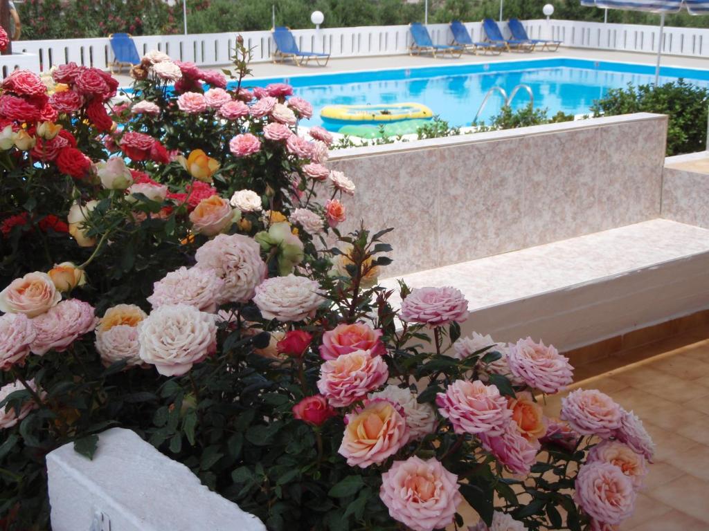 a bunch of flowers next to a swimming pool at Villas Michalis in Chorafakia