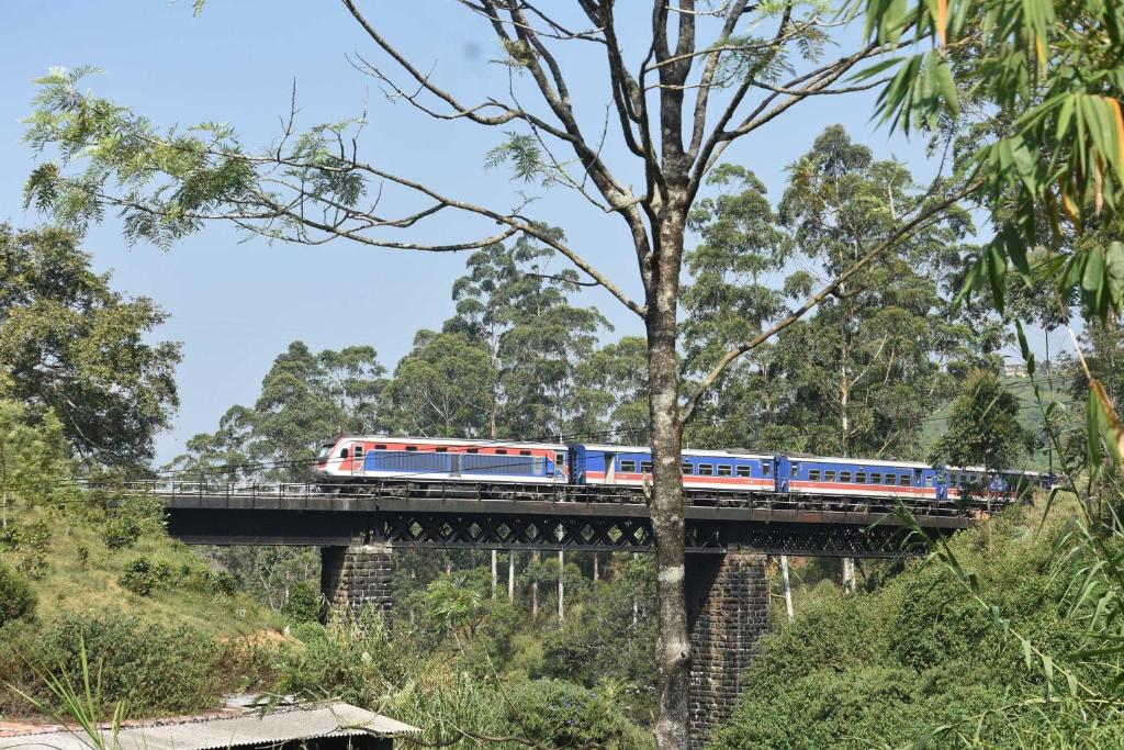 a train on a bridge over a forest at Ansi Villa in Nanu Oya