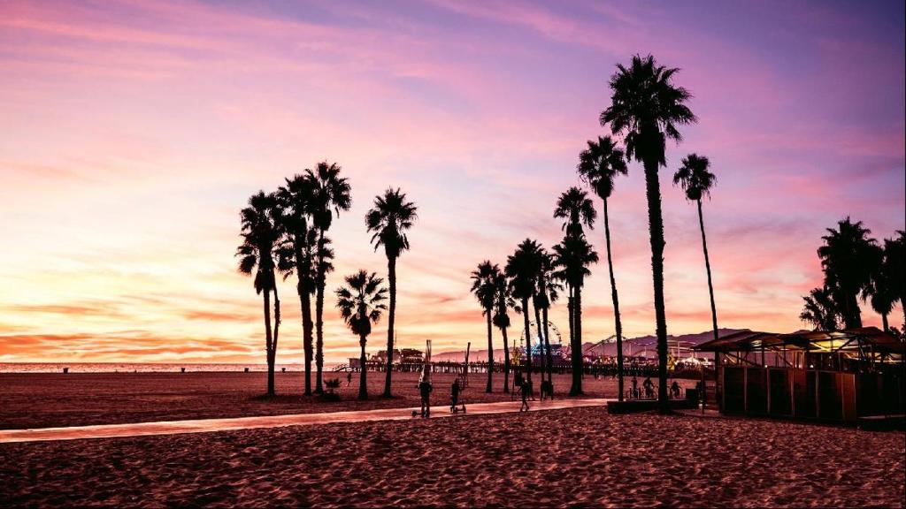 ロサンゼルスにあるCasa Playa - Modern, Stylish, Spacious, Gated Entry, Rooftop Pool - BEST LOCATION - 4 BLKS to Ocean Avenueの夕日を眺めながらの浜辺のヤシの木