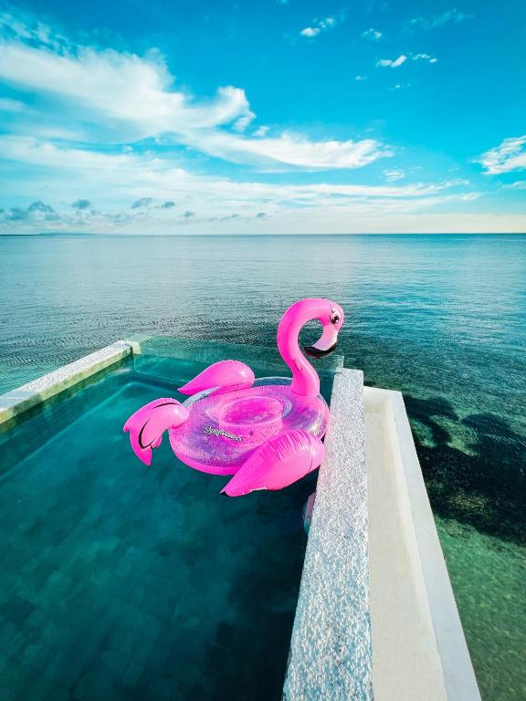 eine Gruppe rosa Flamingos im Wasser in der Unterkunft Renjana Beach House in Bira