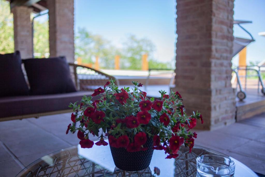 Vonkajšia záhrada v ubytovaní Resort Villa Paola