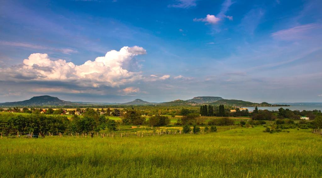 Príroda v okolí apartmánu