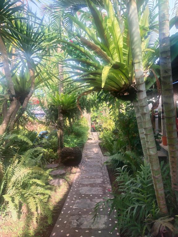 um caminho através de um jardim com palmeiras em ComeBack GuestHouse em Canggu