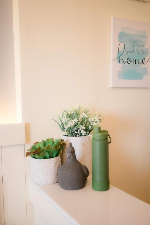 Ecostay @ Amaia - Standard Studio