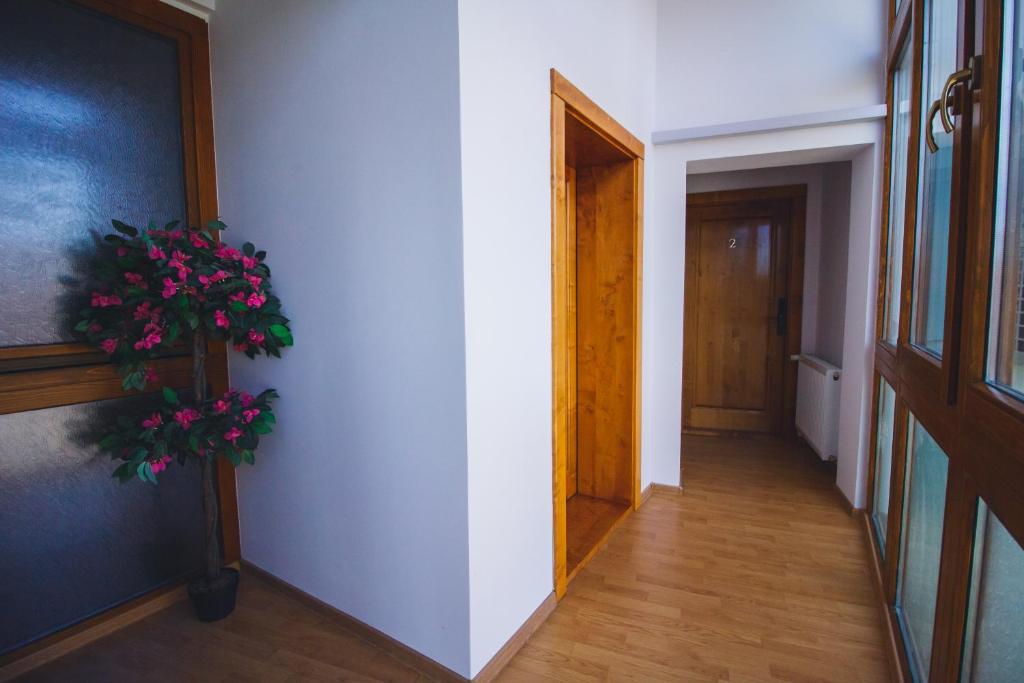 Rabbit Hole Superior Extension - Double Room