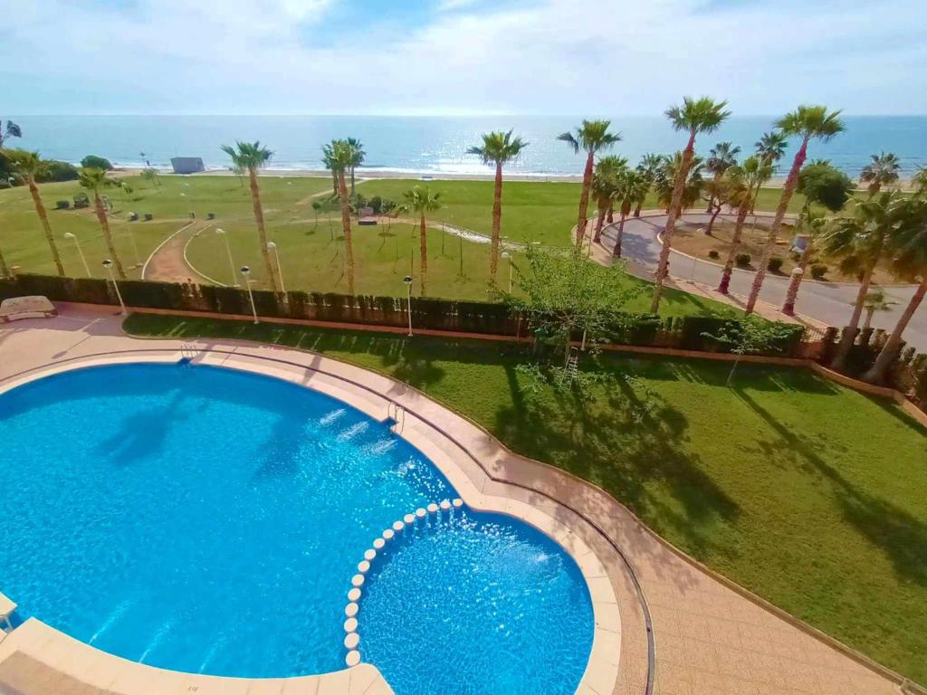 einen Blick über einen Pool mit Palmen und einen Strand in der Unterkunft Ayf 3 habitaciones moderno 1ª linea de playa in Oropesa del Mar