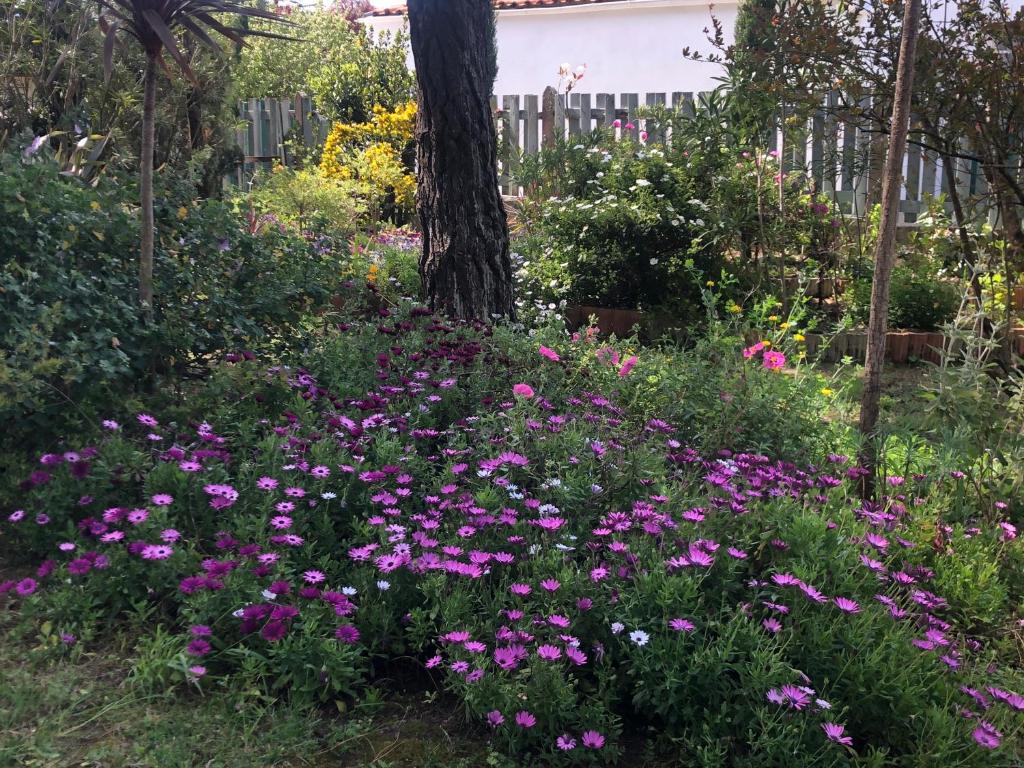 Zahrada ubytování L'enclos Des Lys, Villa Raffinée Proche de la Mer, Linge Inclus