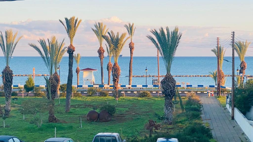 a group of palm trees in front of the ocean at Iason Seaview home in Latchi in Polis Chrysochous