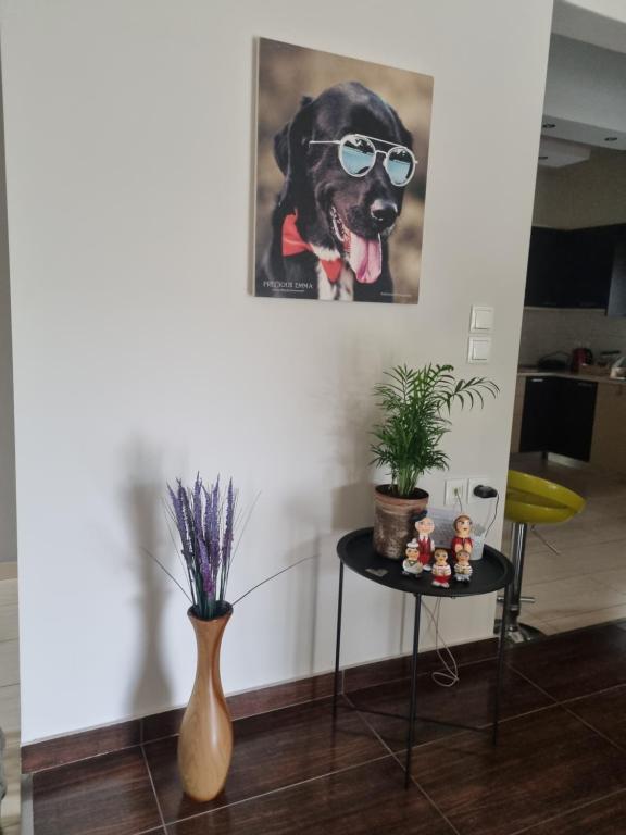 Fotografie z fotogalerie ubytování Precious Emma's House v destinaci Afantou