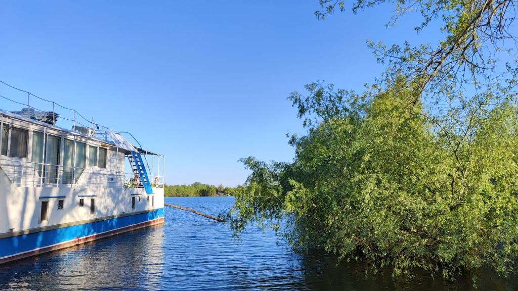 ein Boot auf dem Wasser neben einem Baum in der Unterkunft Hotel plutitor Sofia-Maria in Uzlina