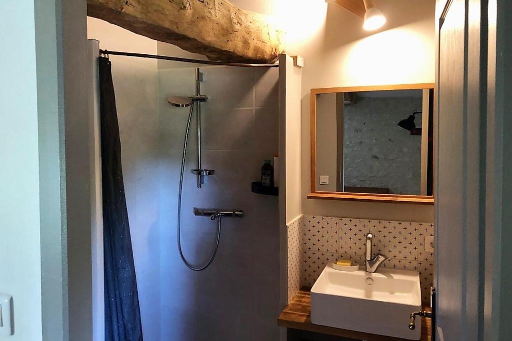 a bathroom with a shower and a sink and a mirror at Maison d hôtes Casa Sana in Pillac
