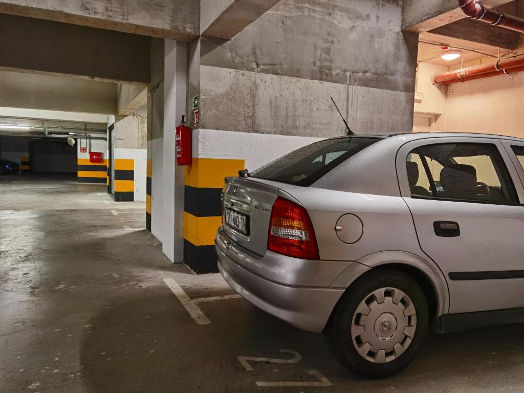 Grandpa´s tree - private garage - 17