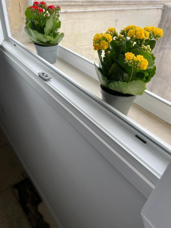 Suite Battisti 7 - 16