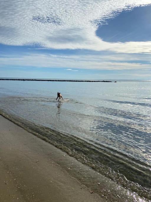 une personne dans l'eau à la plage dans l'établissement hébergement les pieds dans l'eau, à Marseillan