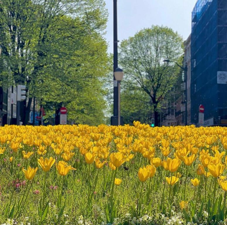 Hotel Lidar - Resim 16