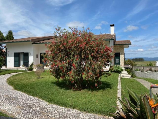 une maison avec une brousse devant elle dans l'établissement Casa Gorjão, à Anadia
