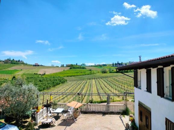 a view of a vineyard from a house at Cascina Cantaret Agriturismo in Agliano Terme