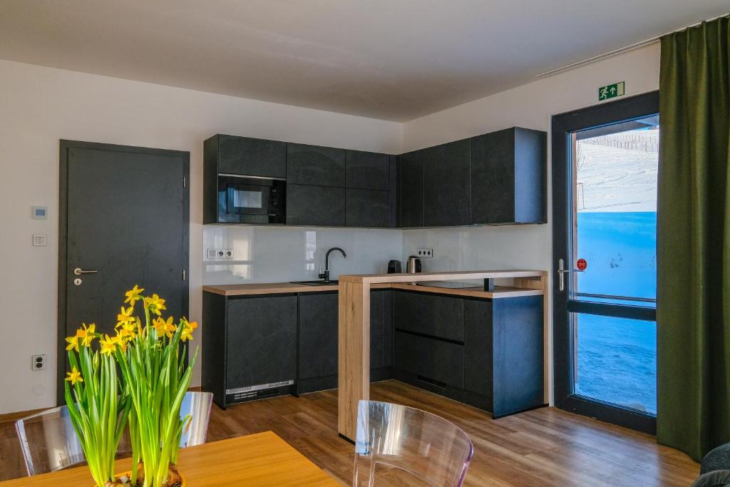 Kuchyň nebo kuchyňský kout v ubytování Apartmány Trojice