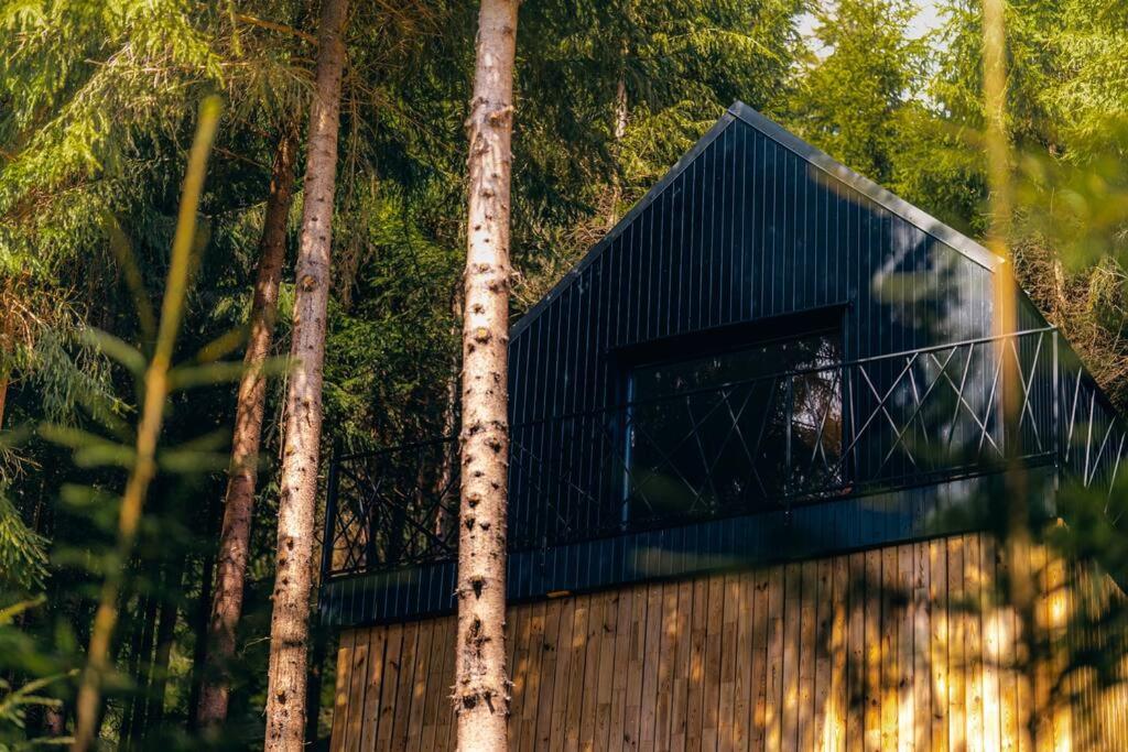 ein schwarzes Haus im Wald mit Bäumen in der Unterkunft Hambar Belis in Beliş