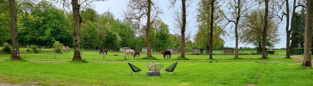Zahrada ubytování Gite Haras du Bois de Formerie