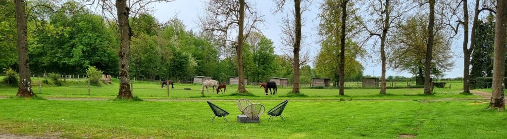 dos sillas en un campo con caballos en el fondo en Gite Haras du Bois de Formerie en Formerie