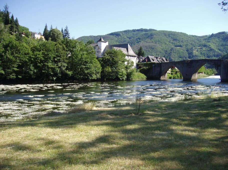 een brug over een rivier met een groep huizen bij Vue du Pont in Entraygues-sur-Truyère
