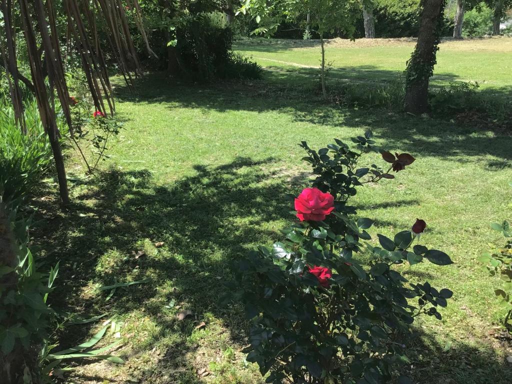 Zahrada ubytování Le gîte de Gascogne