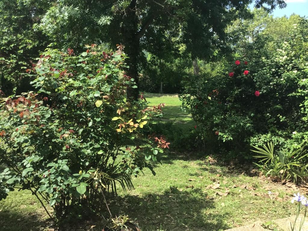 Zahrada ubytování Le gîte de Gascogne