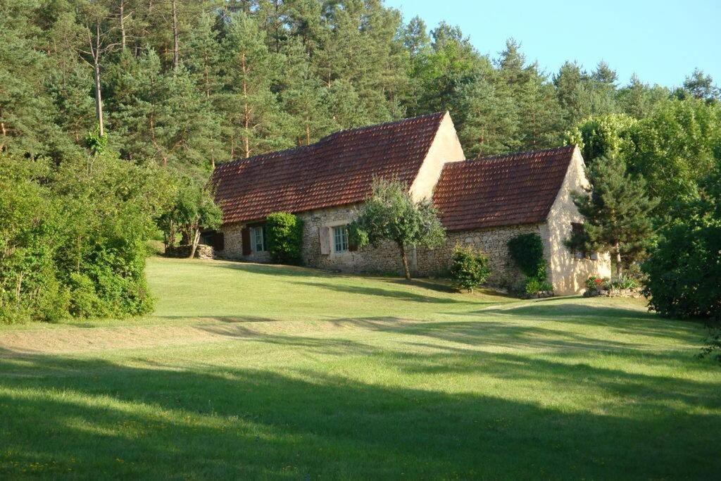 a house in the middle of a green yard at Les Perry, le calme et la nature à deux pas de Saint Léon in Peyzac-le-Moustier