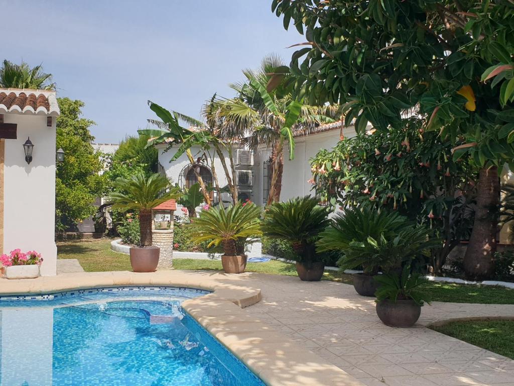 The swimming pool at or close to Casa Juanita