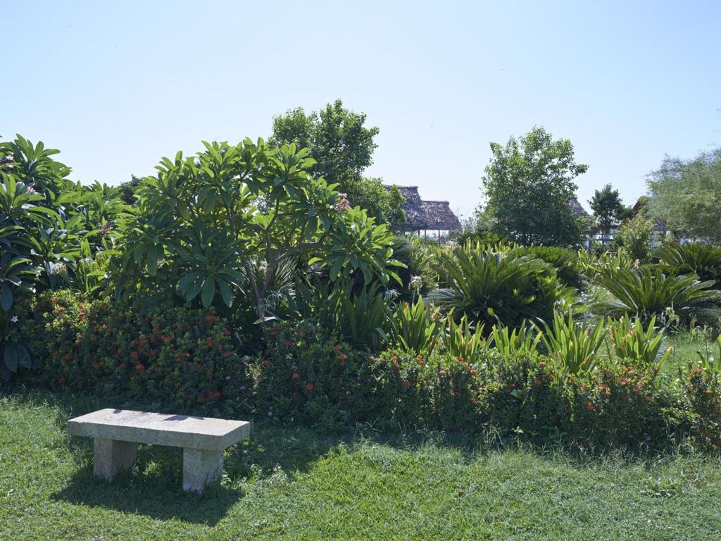 Zahrada ubytování Club Mahindra Puducherry