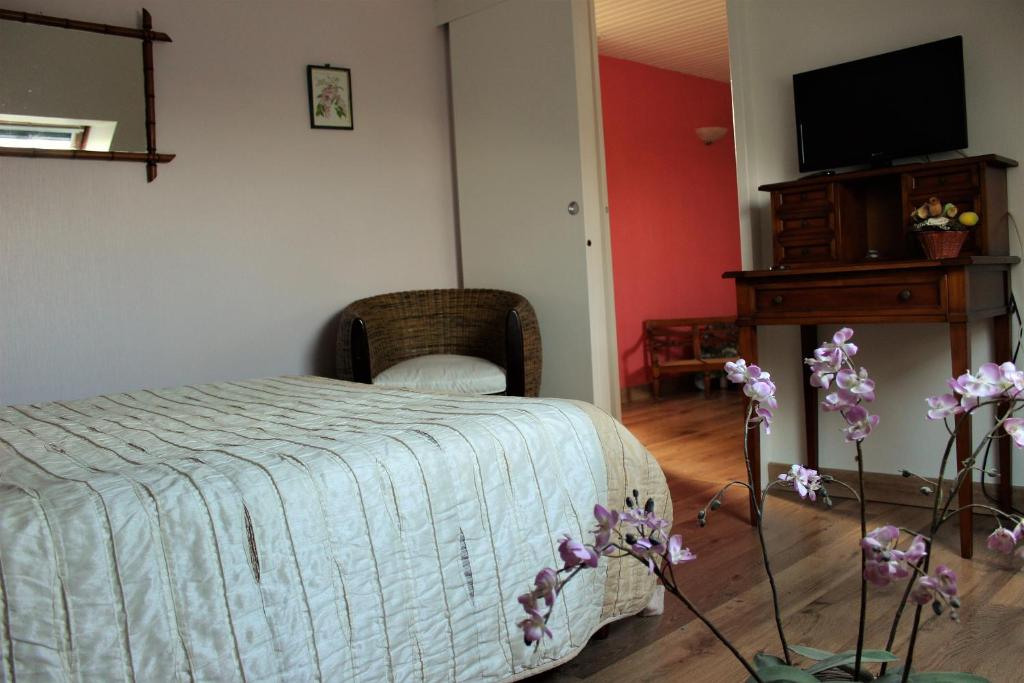 TV a/nebo společenská místnost v ubytování B&B La Gautraie