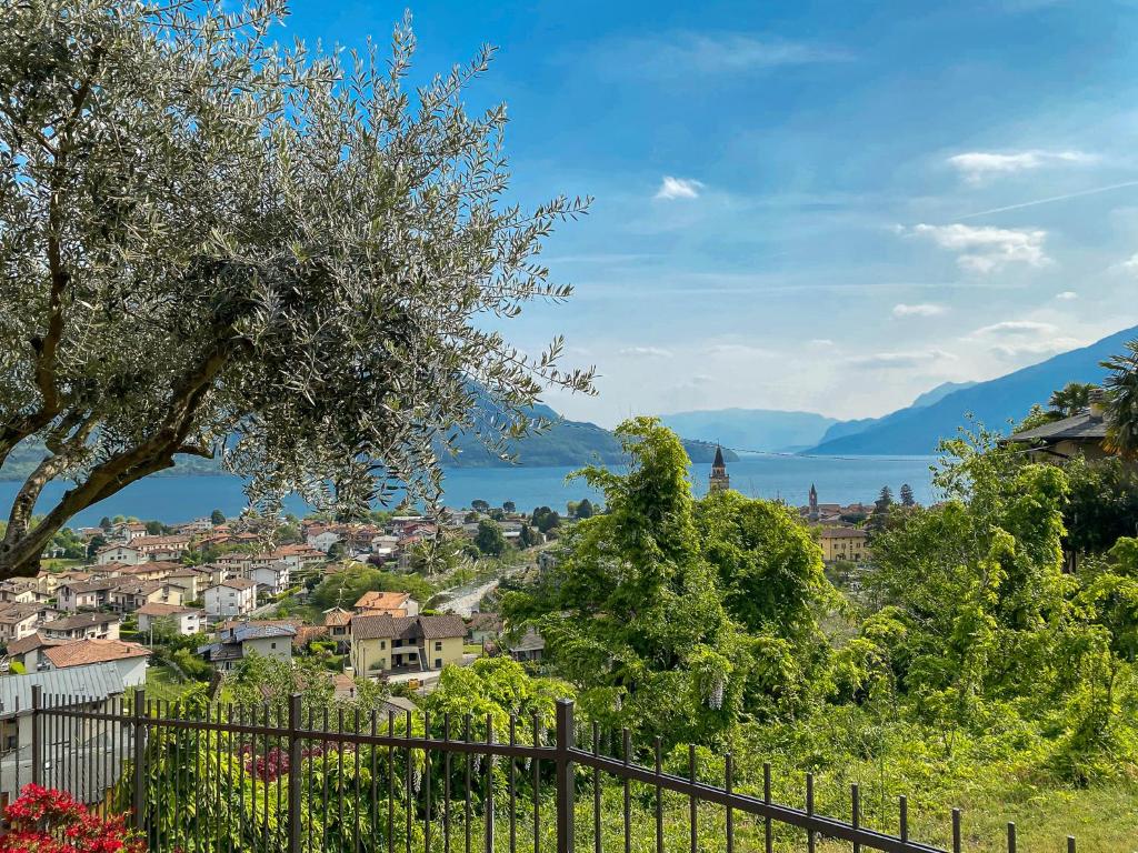 Príroda v okolí apartmánu