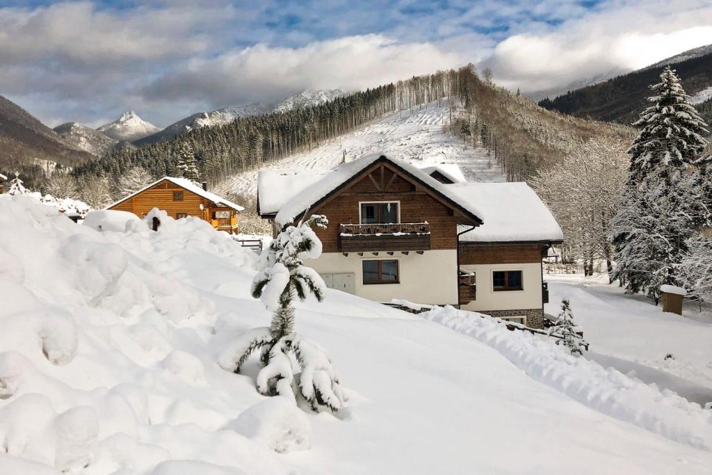 Apartmán Vrátna v zime