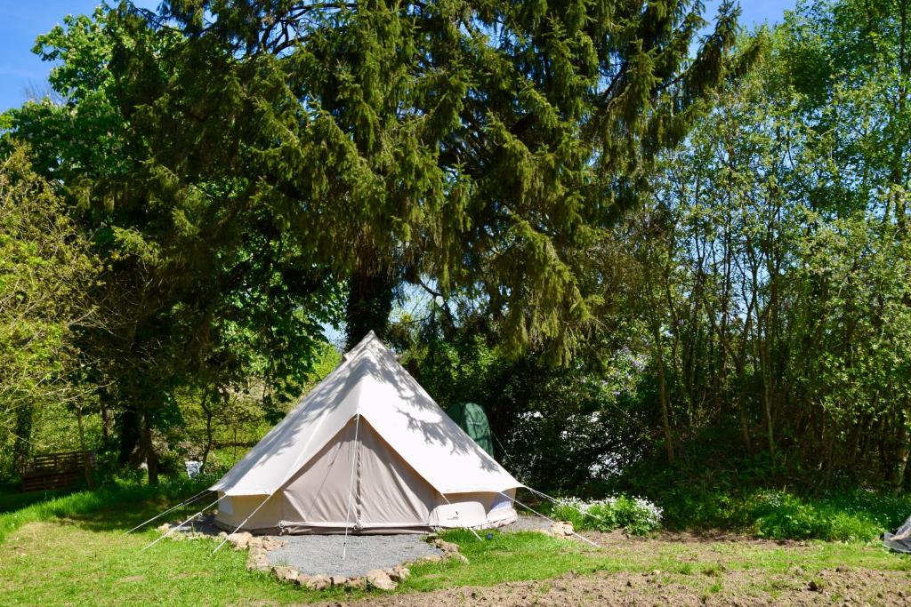 une tente assise dans l'herbe sous un arbre dans l'établissement L'Angeberdière - Tente nature au calme, à Saint-Mars-sur-la-Futaie