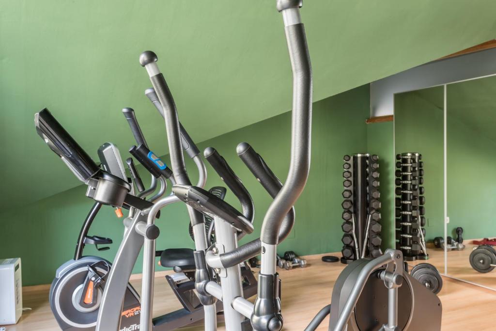 Fitness centrum a/nebo fitness zařízení v ubytování Snö Villa de Sallent 3