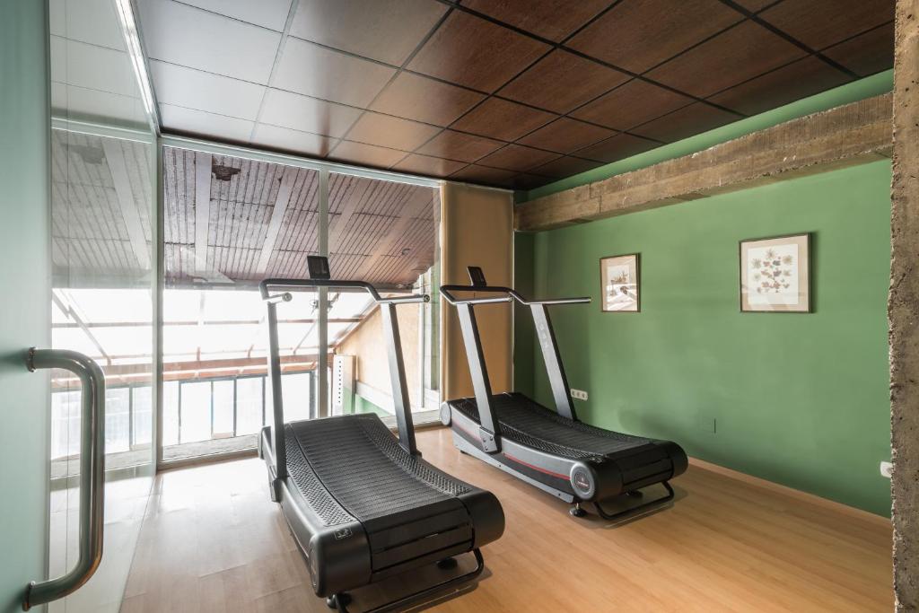 Fitness centrum a/nebo fitness zařízení v ubytování Snö Villa de Sallent 3