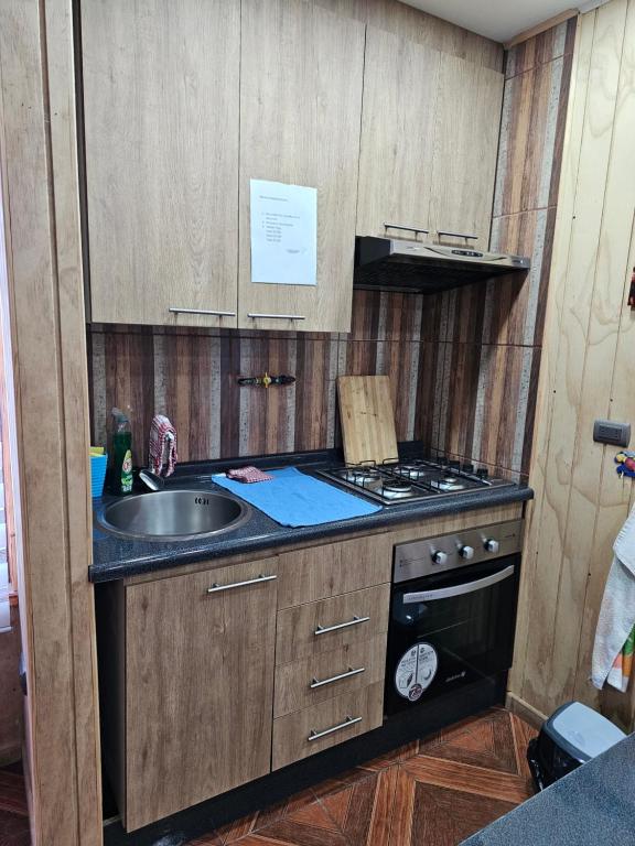 Kuchyň nebo kuchyňský kout v ubytování Cabañas Rosner