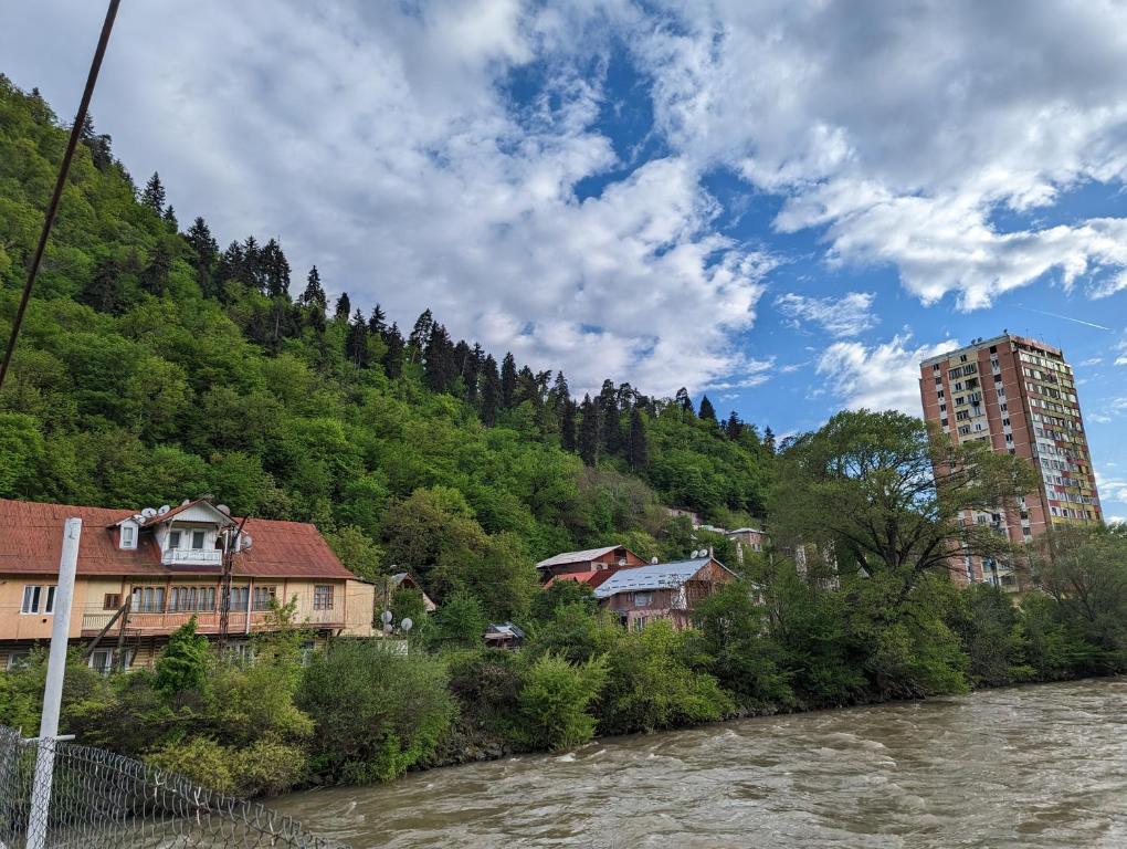 a town next to a river next to a mountain at Gari's apartment next to Borjomi Central Park in Borjomi