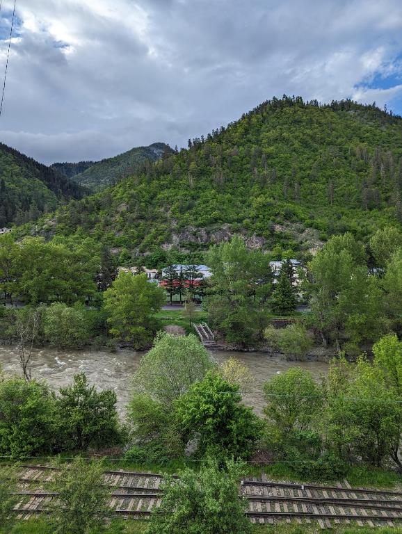Příroda nedaleko apartmánu