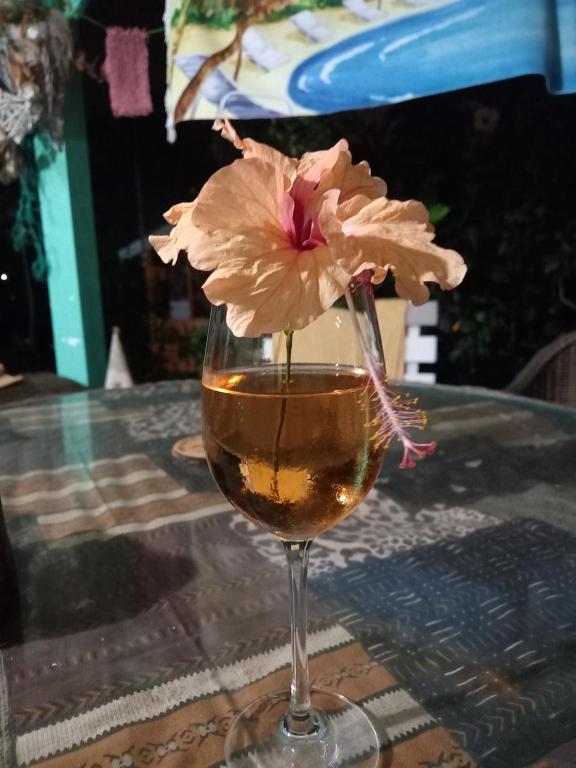 un bicchiere di vino con un fiore all'interno di CABANE au Soleil by a Saint-François