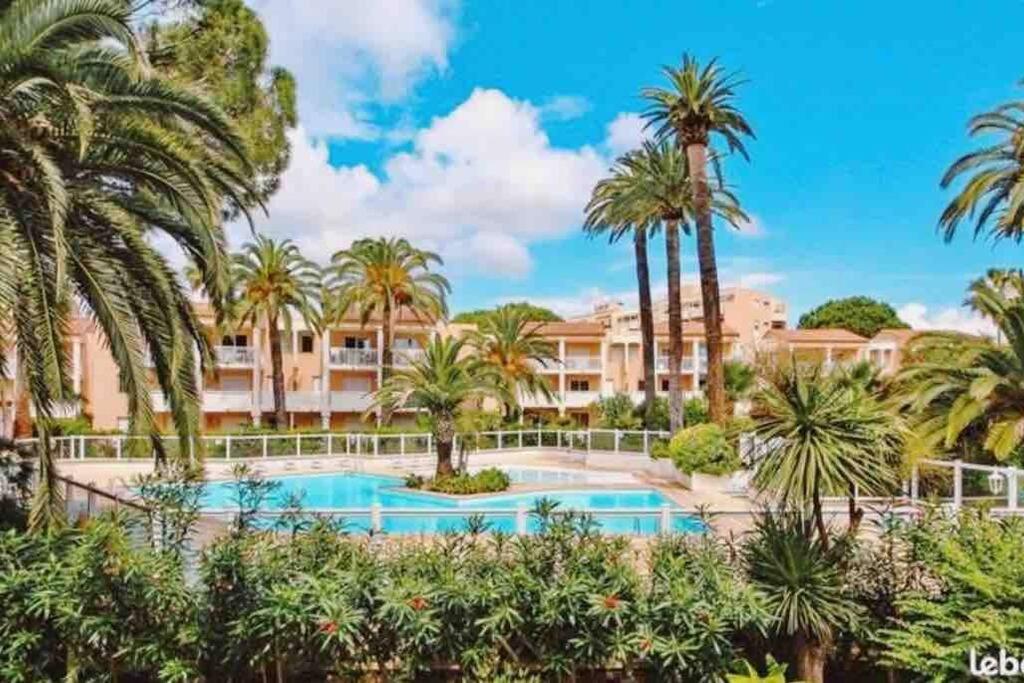 un complexe avec piscine et palmiers dans l'établissement Cosy 1 bed in Golfe Juan - tennis * pool & beach!, à Vallauris