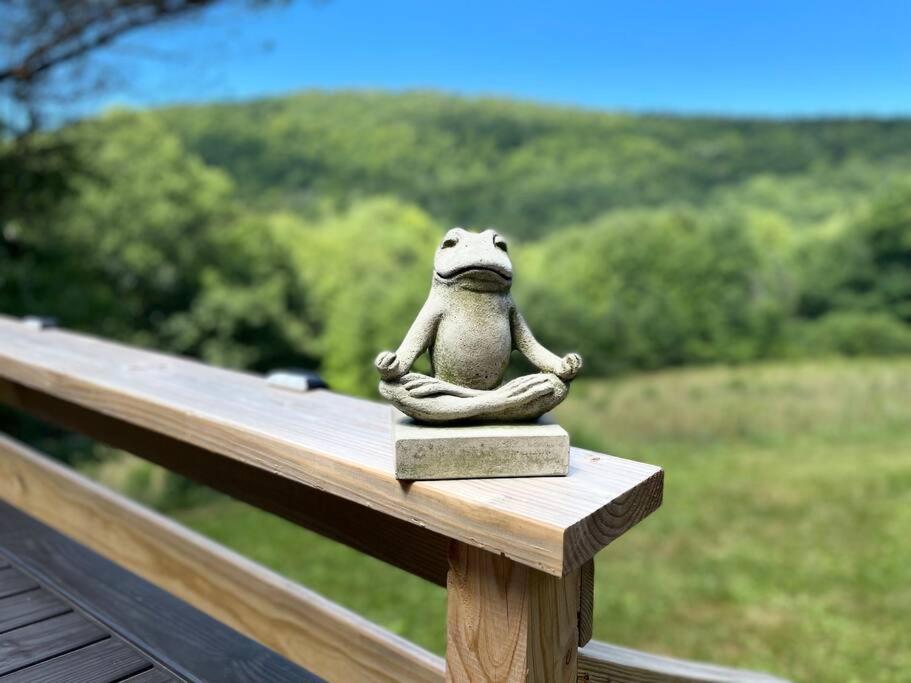 a frog sitting in a meditation pose on a wooden rail at Breathtaking views. Hot tub. Huge Deck. Fast Wifi in Andes