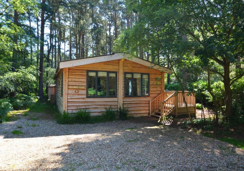 a small wooden cabin in the middle of a forest at Milliners Lodge in Kelling