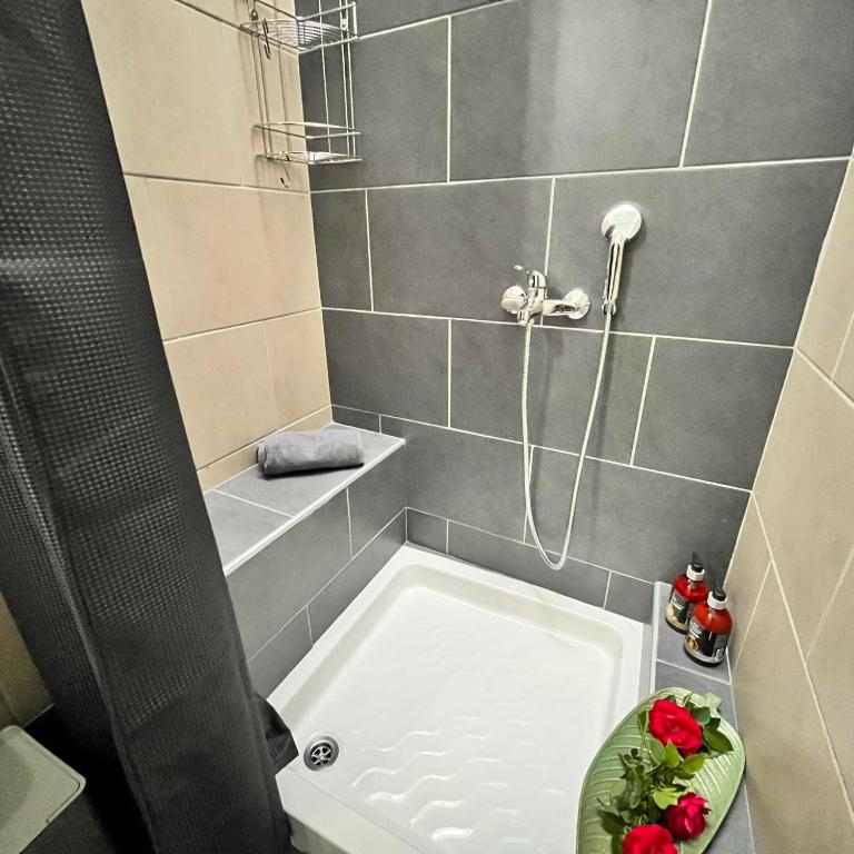 uma pequena casa de banho com banheira e chuveiro em Aneseas Syros em Hermópolis