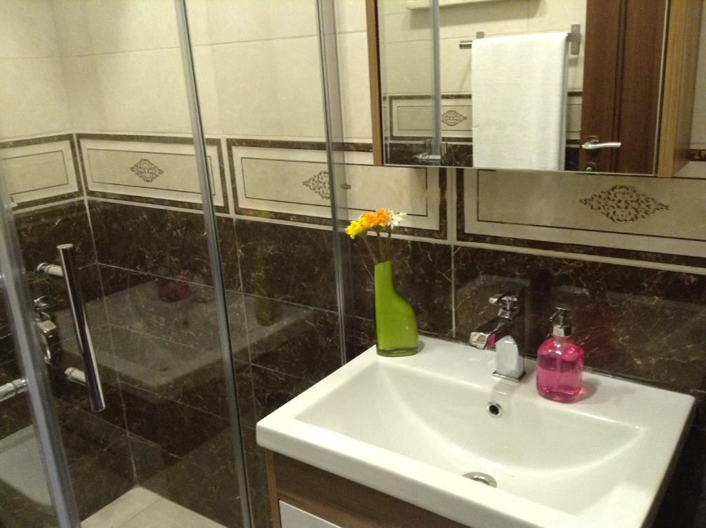 イスタンブールにあるBoutique Sultan Hotelのバスルーム(シンク、シャワー付)
